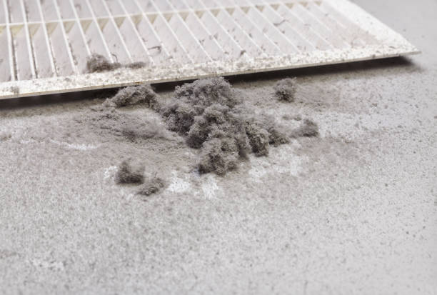 Best Duct Cleaning for Offices  in Alhambra, CA