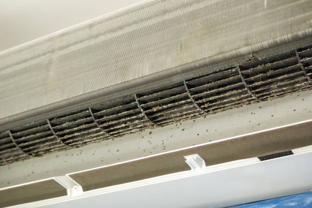 Best Emergency Air Duct Cleaning  in Alhambra, CA